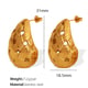 EH63 Gold Earrings Picture2